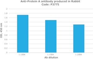 Merck RABBIT ANTI-PROTEIN A