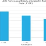 Merck RABBIT ANTI-PROTEIN A