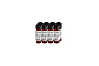 Waters Dithiothreitol (DTT) 16mg, 8/pk