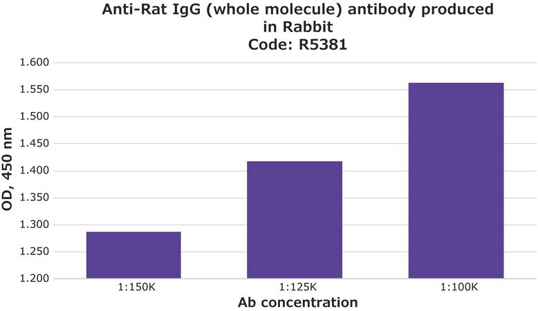 Merck Anti-Rat IgG (whole molecule) antibody produced in rabbit