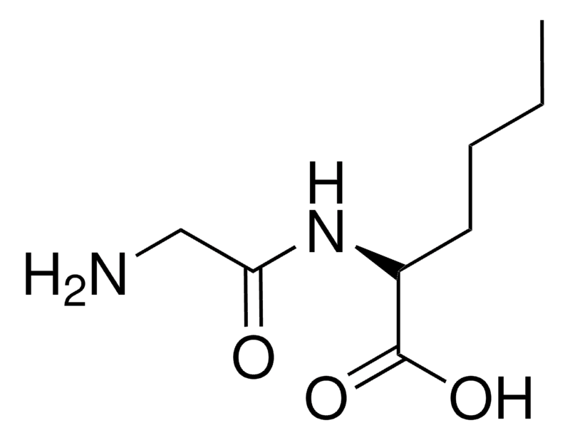 Merck GLYCYL-L-NORLEUCINE-