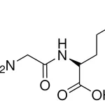 Merck GLYCYL-L-NORLEUCINE-