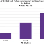 Merck Anti-Rat IgG (whole molecule) antibody produced in rabbit