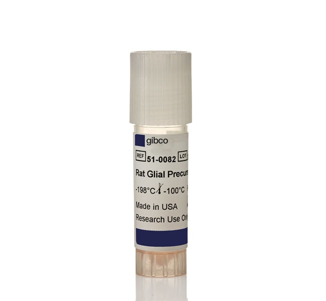 Thermo Fisher Scientific Rat Glial Precursor Cells