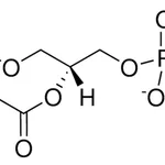 Merck 06:0 PE