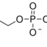 Merck 2-METHACRYLOYLOXYETHYL PHOSPHORYLCHOLIN&