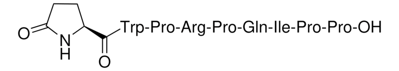 Merck Angiotensin Converting Enzyme Inhibitor