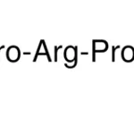 Merck Angiotensin Converting Enzyme Inhibitor