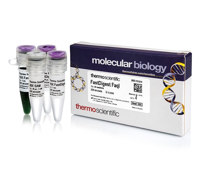 Thermo Fisher Scientific FastDigest FaqI