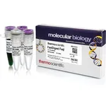 Thermo Fisher Scientific FastDigest FaqI