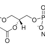 Merck 06:0 PS