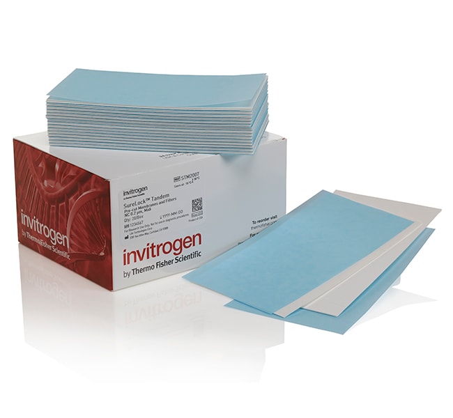 Thermo Fisher Scientific SureLock Tandem Midi Pre-cut Membranes and Filters, 0.2 μm, nitrocellulose