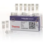 Thermo Fisher Scientific aLICator LIC Cloning and Expression Set 2 (All-in-One/WQ)
