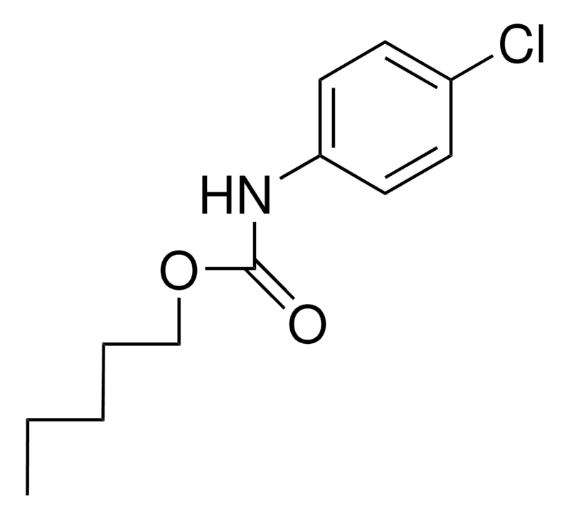 Merck PENTYL 4-CHLOROCARBANILATE-