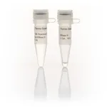 Thermo Fisher Scientific RNase H (5 U/μL), 100 units