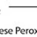 Merck MANGANESE PEROXIDASE FROM WHITE-ROT FUN&