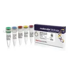 Thermo Fisher Scientific Buffer Set for Restriction Enzymes