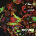 Thermo Fisher Scientific Celleste Image Analysis Software, network seat, one additional seat