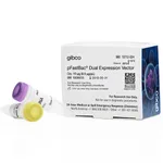 Thermo Fisher Scientific pFastBac Dual Expression Vector