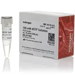 Thermo Fisher Scientific dGTP (100 mM)