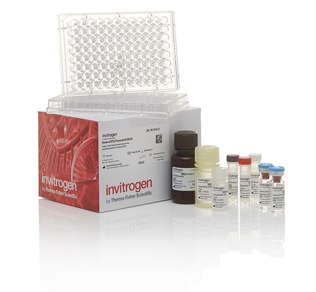 Thermo Fisher Scientific Mouse IL-12/IL-23 p40 (Total) Uncoated ELISA Kit