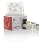 Thermo Fisher Scientific Human IL-21 Uncoated ELISA Kit