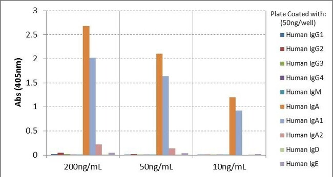 Thermo Fisher Scientific Rabbit anti-Human IgA1 Recombinant Secondary Antibody, Biotin