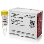 Thermo Fisher Scientific Biotin-14-dATP