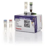 Thermo Fisher Scientific Phusion Green Hot Start II High-Fidelity DNA Polymerase (2 U/μL), 500 units