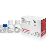 Thermo Fisher Scientific Dynabeads FlowComp Human CD4 Kit