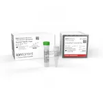 Thermo Fisher Scientific Oncomine IGH FR1-J Assay, DNA