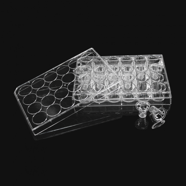 LABSELECT Cell culture insert translucent PET membrane
