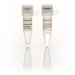 Thermo Fisher Scientific Endonuclease V, T.maritima (5 U/μL)