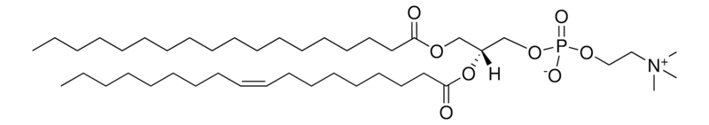 Merck 18:0-18:1 PC