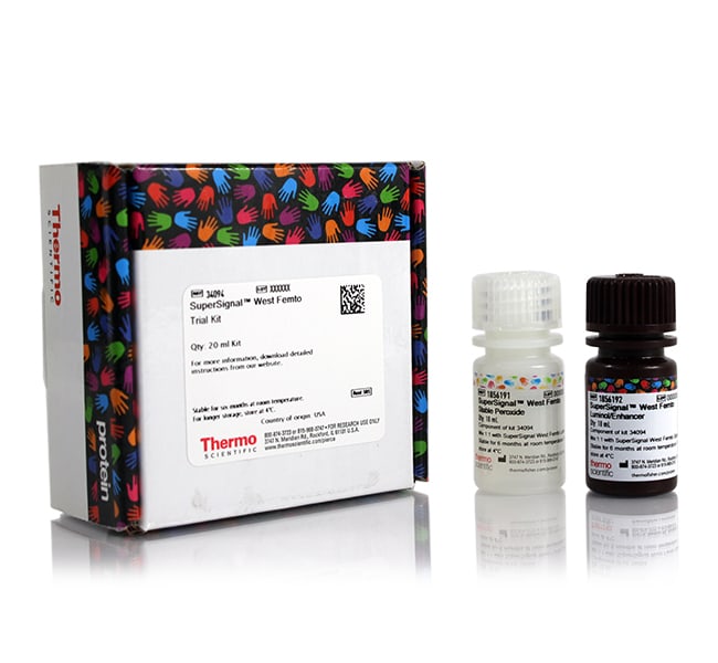 Thermo Fisher Scientific SuperSignal West Femto Maximum Sensitivity Substrate, 20 mL