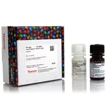 Thermo Fisher Scientific SuperSignal West Femto Maximum Sensitivity Substrate, 20 mL