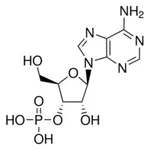Merck ADENOSINE 3``-MONOPHOSPHATE FREE ACID