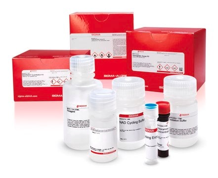 Merck LIPASE ACTIVITY ASSAY KIT III