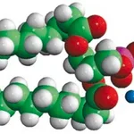 Merck 14:0 NBD PE