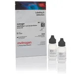 Thermo Fisher Scientific ReadyProbes Avidin/Biotin Blocking Solution (1X)
