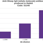 Merck Anti-Sheep IgG (whole molecule) antibody produced in rabbit