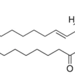 Merck C24:1 Lactosyl(beta) Ceramide-d7 (d18:1/24:1(15Z))