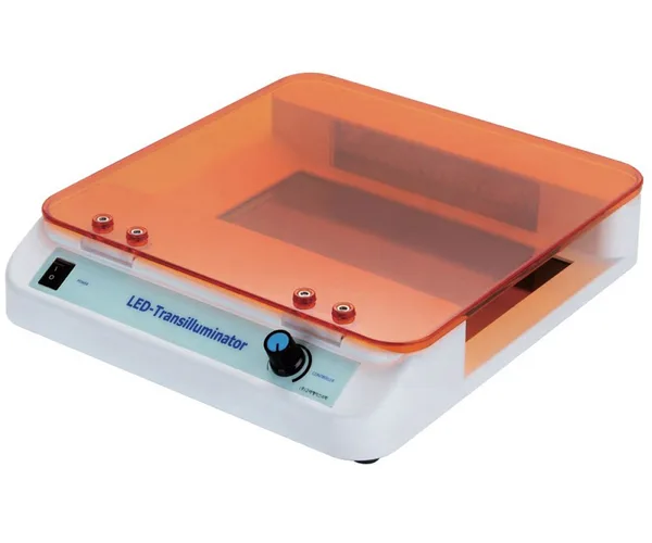 LED Blue Light Transilluminator DNA Band 관찰기