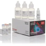 Thermo Fisher Scientific Alexa Fluor 594 Tyramide SuperBoost Kit, streptavidin