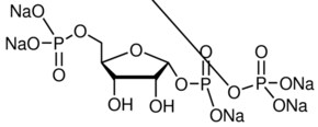 Merck 5-PHOSPHO-D-RIBOSE 1-DIPHOSPHATE PENTASO