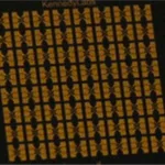 Merck Hall Device Chip