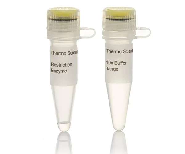 Thermo Fisher Scientific BcnI (NciI) (10 U/μL)