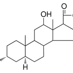 Merck 3-ALPHA,12-BETA-DIHYDROXY-5-AL - 1 MG&