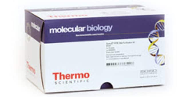 Thermo Fisher Scientific GeneJET Endo-Free Plasmid Maxiprep Kit