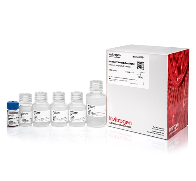 Thermo Fisher Scientific Dynabeads Antibody Coupling Kit